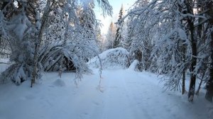 Чермоз №8 Дмитриевское -Желдовка