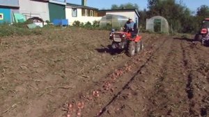 копаем картофель самодельной грохотной копалкой