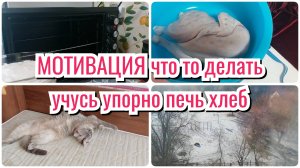 МОТИВАЦИЯ НА не большую УБОРКУ / ДА ! УЧУСЬ ПЕЧЬ ХЛЕБ дальше