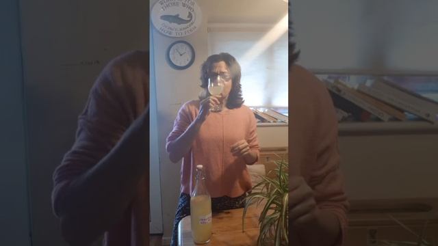 Fermented Clementine Kombucha смотреть онлайн