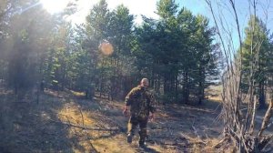 Сплав по таежным рекам Аган и Тромъеган до реки Обь (Сургут, ХМАО). Обзор рыбацких и охотничьих изб.