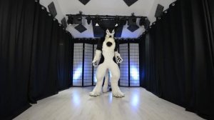 Dance Drills with Rinn - Basic Fixed Point