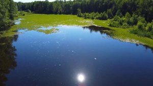 Верхний Красный Яр. 5.07.22.