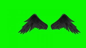 Крылья на зелёном фоне #3