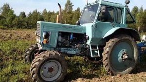 Копаем картофель мТз 82 и картофелекопалка Z-609