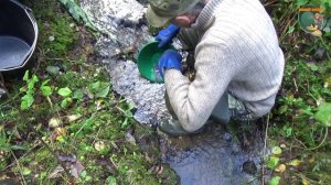 По лесным ручьм (часть вторая)