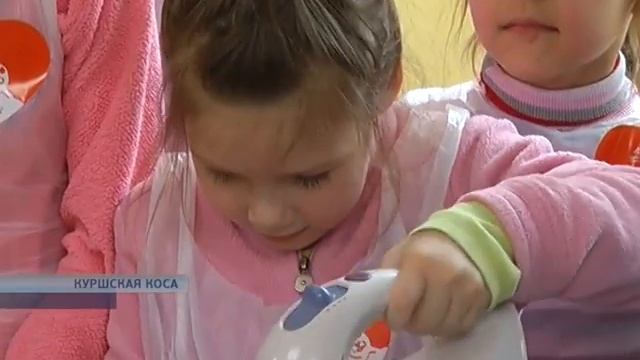 День тюленя смотреть онлайн