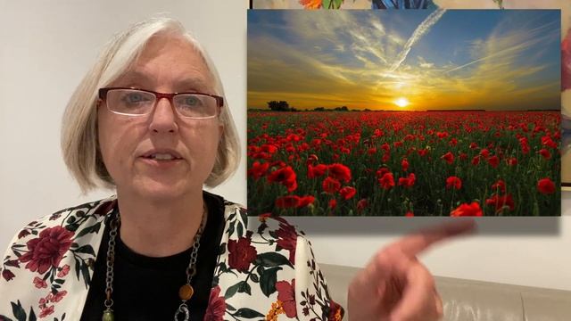 How would I paint a Poppy Sunset? смотреть онлайн