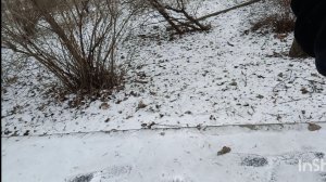 Влог. В Москве наконец выпал снег. Влог за 2 дня.