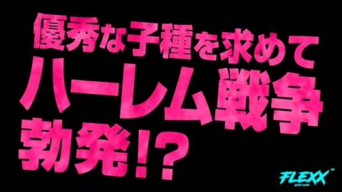 top 5 ecchi, fantasy anime (malayalam) #anime #anime recommendation