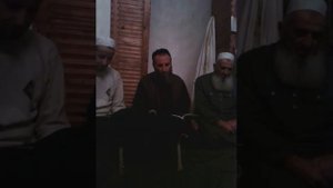 Турчи мавлид на даргинском