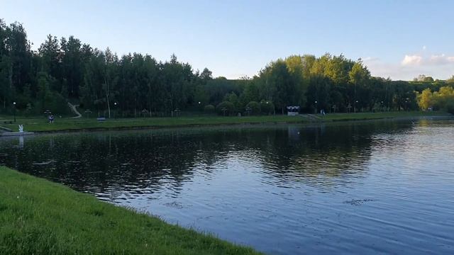 Новый день  Лена LIFE  Сделает ли Оксана правильные выводы?!  Обзор влогов