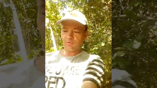 Сейшелы, Индийский океан, остров Маэ