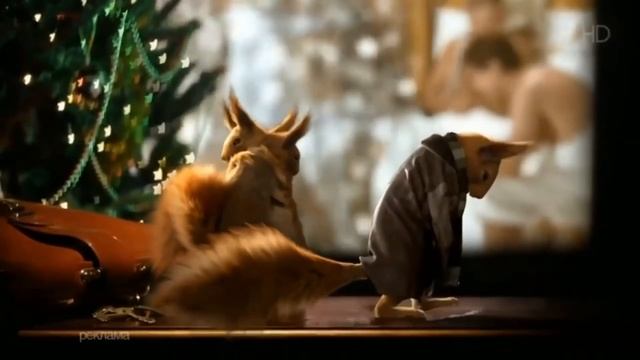 Все заставки с белками в виде Рекламы на Первом Канале (15.12.2017-15.01.2018) смотреть онлайн