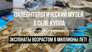 ЭКСПОНАТЫ ВОЗРАСТОМ МИЛЛИОНЫ ЛЕТ. МУЗЕЙ - СЕЛО КУППА.ГОРНЫЙ ДАГЕСТАН.