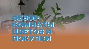 № 10 Обзор моей комнаты, цветов и бомбического бомбера за 2 703р