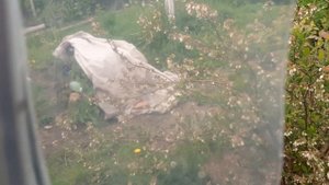 Обзор парника для выращивания винограда ,  под пленкой Светлица.