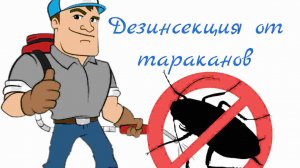 Уничтожение домашних тараканов в квартире, 
обработка без запаха, избавим вас c 1 раза 100%.