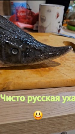 Уха из осетра