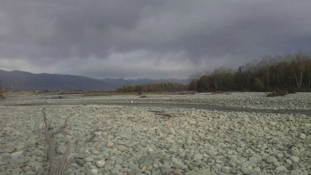 Уйти в лес или на необитаемый остров смотреть онлайн