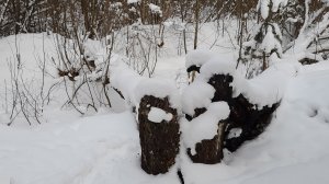 Музыка в дорогу.