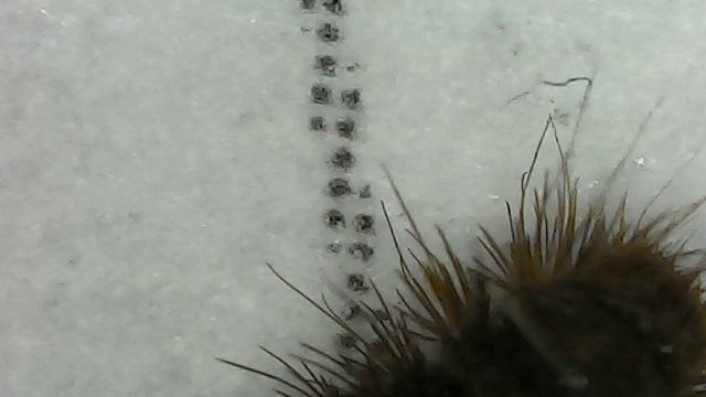 Под микроскопом