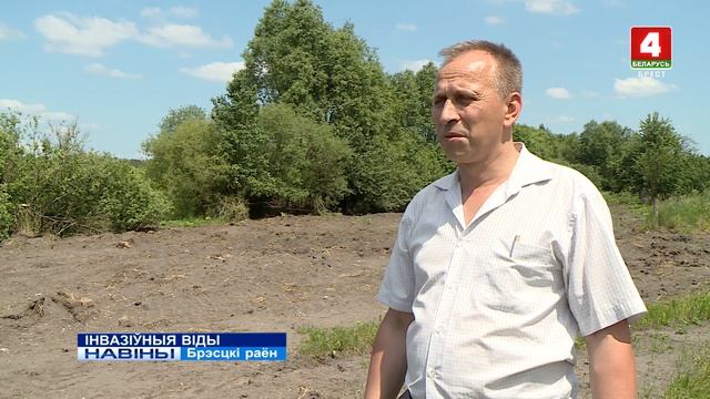 ІНВАЗІЎНЫЯ ВІДЫ (Відэа) смотреть онлайн