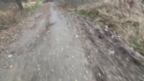 Дорога.