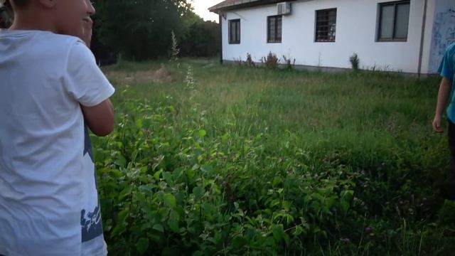 DOBIO SAM ZA LJUBIMCA NAJMANJE KUČE NA SVETU! смотреть онлайн