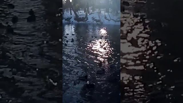 Не про вязание))) смотреть онлайн