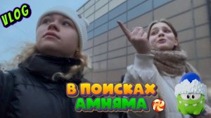 Vlog. Ищем игрушку ам-няма