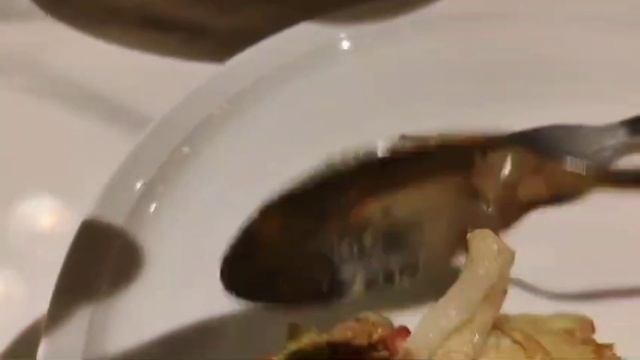 Hummus Lebanese Cafe Guwahati 🥙 Best Lebanese food in Guwahati 🍗 Weekend vlog 💕 Guwahati cafes