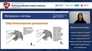 Лептоспироз у рукокрылых на территории Российской Федерации