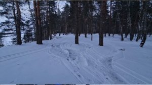 Снегоход avantis Capitan 150