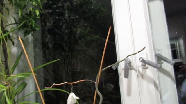 Думы мая смотреть онлайн