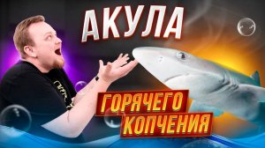 Готовим в домашней коптильне: акула горячего копчения