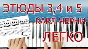 Этюды Черни для Фортепиано ЛЕГКО ПРОСТО для Начинающих + НОТЫ🎵
