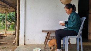 Harvest Lotus pods in the Lagoon go to the Market sell - Cook Lotus seed Porridge | Tran Thi Huong