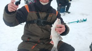 Уральский ХРЕБЕТ. Река САКМАРА. Ловим Головля. Щука чуть не откусила руку.