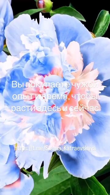 ВРЕМЯ