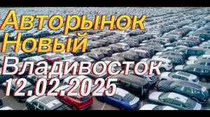 Владивосток Авторынок Новый 12.02.2025