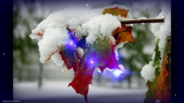 У осени свои права