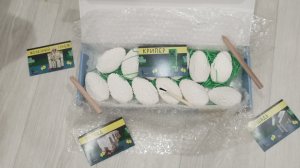 раскопки Майнкрафт яйца.