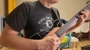 Cравним гитару Donner Hush-X с Carvin USA Custom Shop Часть - 1