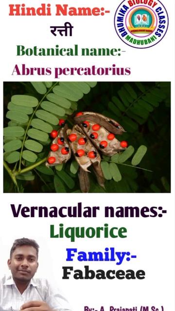 #Abrus percatorius смотреть онлайн