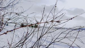 Доброе утро 🌄