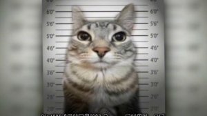 плейлист чтобы потанцевать (speed up)