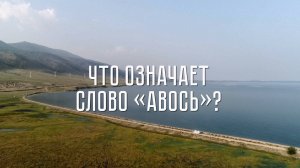 Это мы - то же означает непереводимое русское слово «авось»?