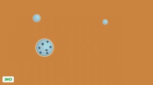 Инфографика Топливо ЭКО от Татнефтепродукт