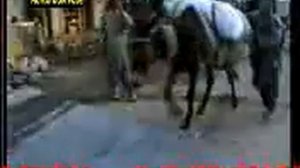 Афганистан эй хамватанон